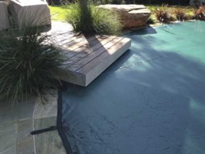 Green leaf cover on pool with jetty