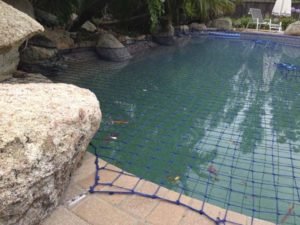 Pool Safety Net fits perfectly around rock features