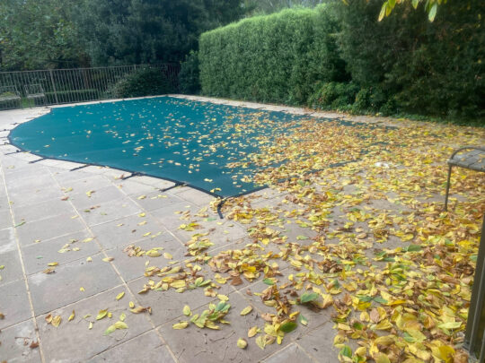 Autumn-Pool